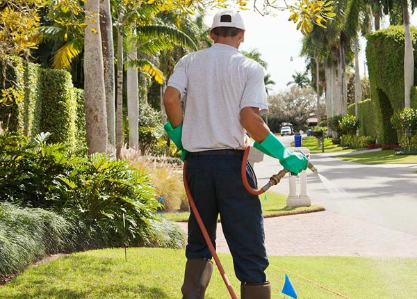 About Mc Cool Junction NE Pest Control